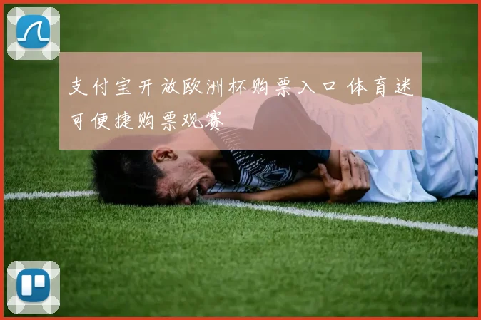 支付宝开放欧洲杯购票入口 体育迷可便捷购票观赛